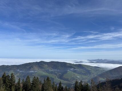 Foto von Barbara Berger entlang der Tour
