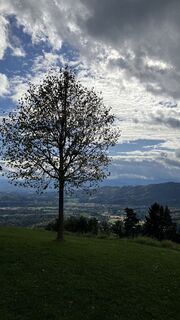 Foto von Albert Neuwirt entlang der Tour