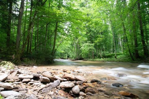 Natura 2000 Gebiet Klause Deutschlandsberg