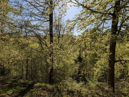 Photo de Frank.M-G le long du parcours