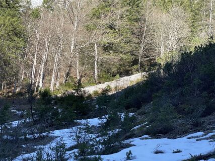Fotografia z retogeissmann na trase
