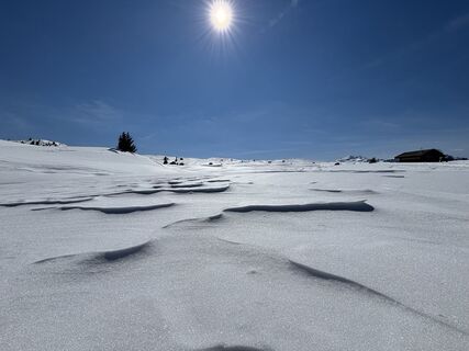 Photo de Petra Egger le long du parcours