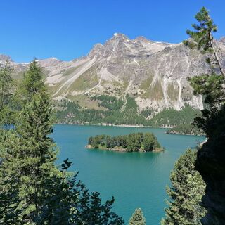 Blick auf den Silsersee