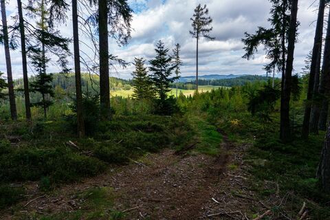 Blick nach Aschelberg und Braunegg