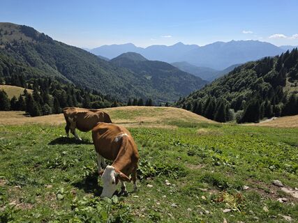 Foto von Walter Dienstl entlang der Tour