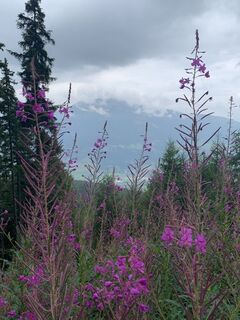 Foto von Koen De Wit entlang der Tour