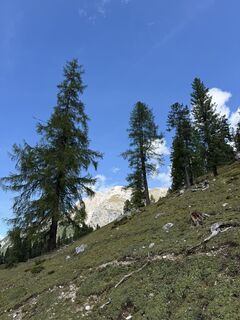 Foto von Gianluca Bucciantini entlang der Tour