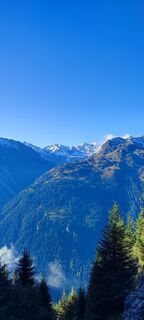 Fotografija s spletne strani Manfred Bosch na poti