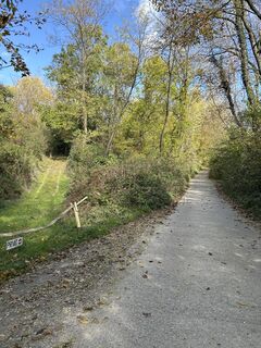 Zdjęcie z Bernadett Bartók wzdłuż trasy