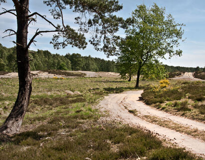 Wahner Heide