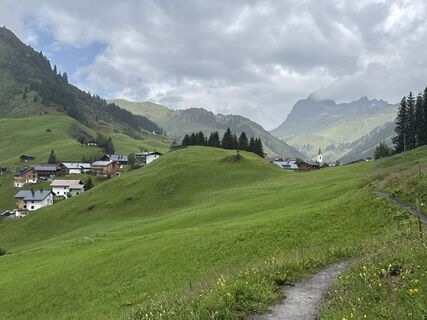 Foto von Grizzli entlang der Tour