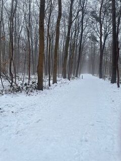 Photo de Winfried Veil le long du parcours