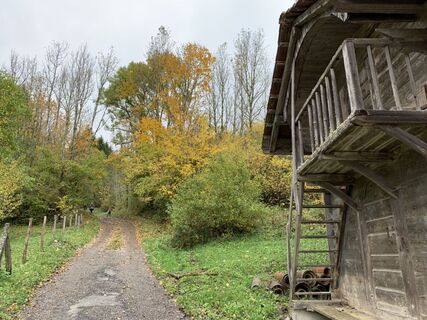 Foto von Koen De Wit entlang der Tour