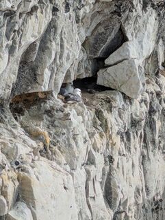 Photo de Matje Derks le long du parcours