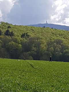 Blick zum Feldberg