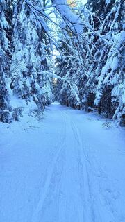 Photo de Romek Dwornik le long du parcours