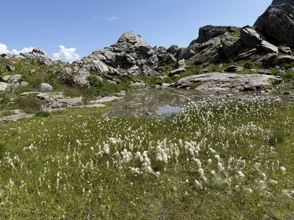 Photo de Marianne Grobner le long du parcours