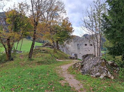 Foto från Bellou under resans gång