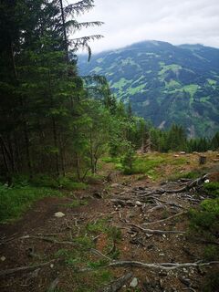 Foto von Timike Tóth entlang der Tour