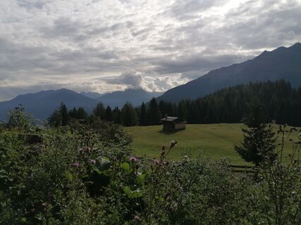 Foto von Johanna Handle entlang der Tour
