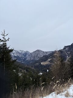 Fotografia z Stefan Tesch na trase