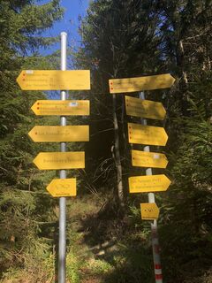 Photo de Harald Pröll le long du parcours