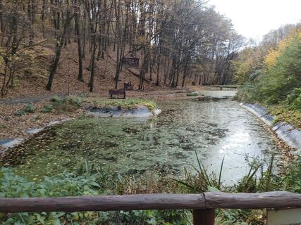 Fotografija s spletne strani Annamária Bánki na poti