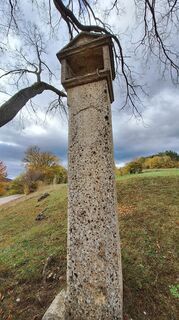 Foto fra Regina Fleischmann underveis på turen