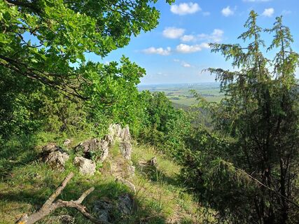 Fotografia z Rene Mrakava na trase