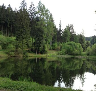 Reuscheltaler Teich