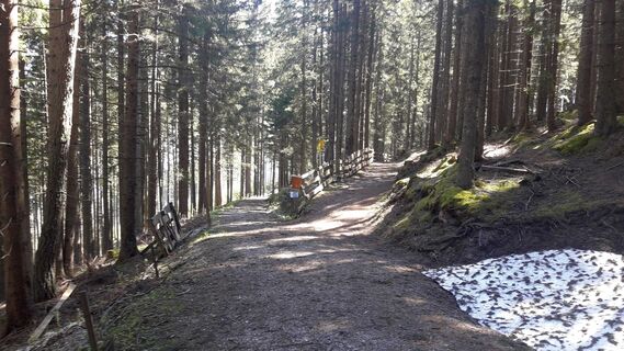 Rechts zur Raitiser Alm