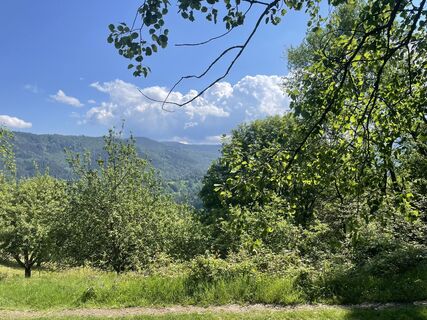 Fotografija s spletne strani Ralf Umminger na poti