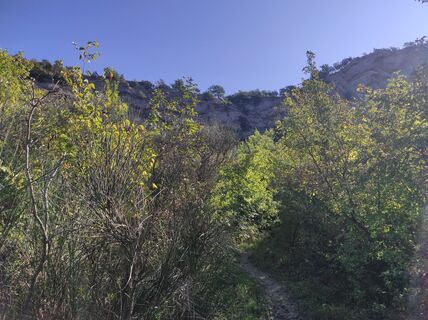 Foto von Brigitte Scheuffele entlang der Tour