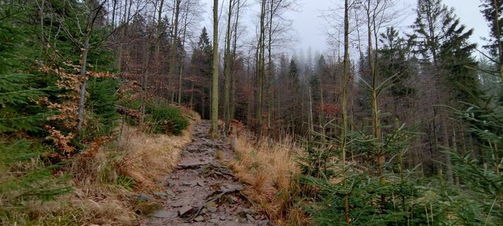 Foto de Sylwiasuchy76 a lo largo del recorrido