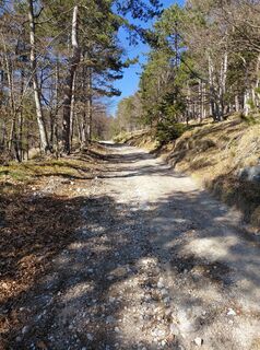 Zdjęcie z Johann Neubauer wzdłuż trasy
