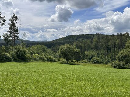 Foto de Norbert Herbig a lo largo del recorrido