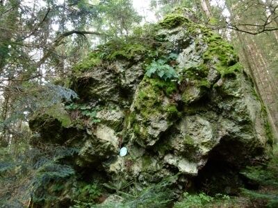 R1_Wandern in Hollenthon _Runde Spratzeck - Gleichenbach - Obereck-Hollenthon