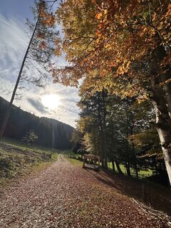 Foto fra Michael Sonnleitner undervejs på turen