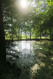 Stellerskuppenweg 01