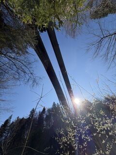 Foto von Cla83bach entlang der Tour