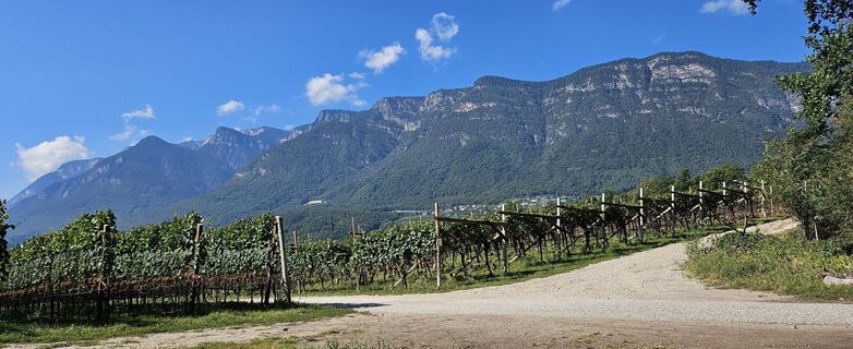 Fotografie z Tanjasusanna na trase