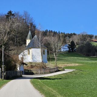 Photo from garrincha along the tour