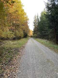 Fotografija s spletne strani Sven Krieblin na poti