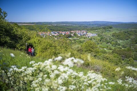 Unterwegs auf der Traumschleife Wehinger Viezpfad