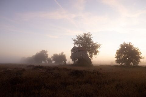 Naturschutzgebiet Recker Moor