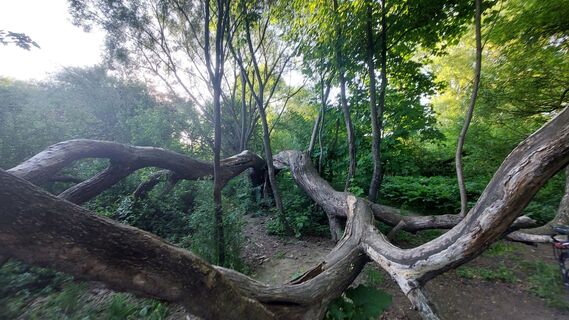 Foto de Iván Kilián a lo largo del recorrido