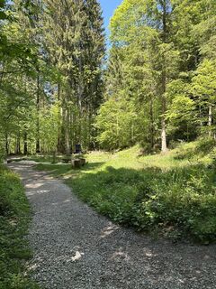 Foto von Babs Holz entlang der Tour