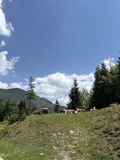 Foto von Heinz Sperl entlang der Tour