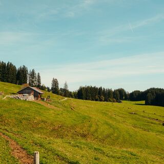 Weg zur Siedelalpe