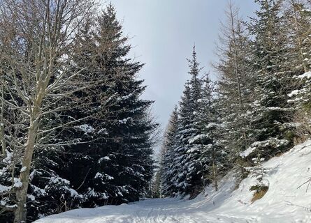 Winterwandern Zetz_Weiz_Oststeiermark